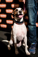 Oh Hai Doggy! Disaster Artist Screening