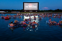 The Shallows