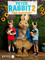 Peter Rabbit at Austin Public Library