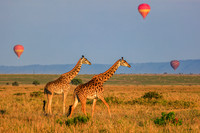 Kenya
